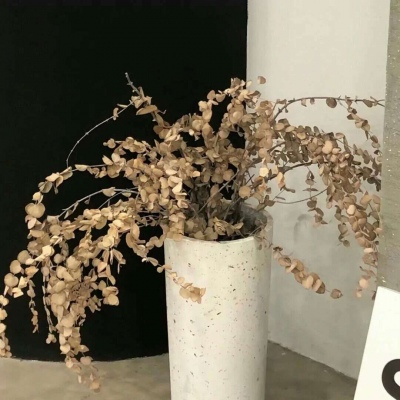 Furry创作素材整理福瑞交流群